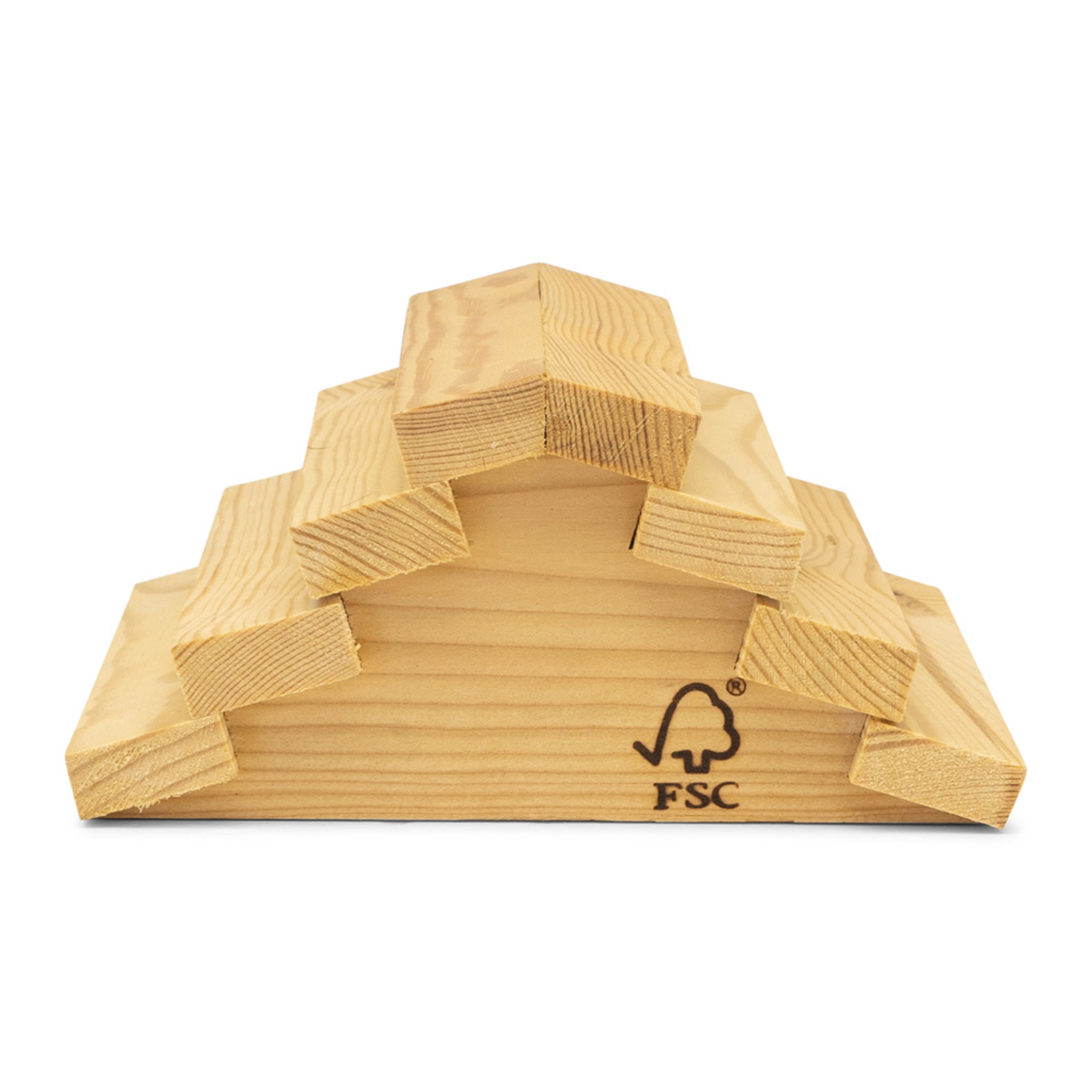 Frosch- & Krötenhaus aus Holz | CJ Wildlife